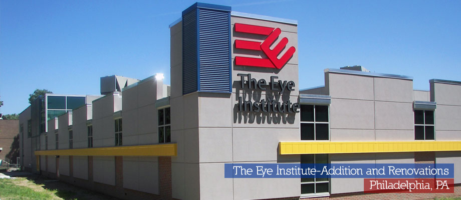 The Eye Institute